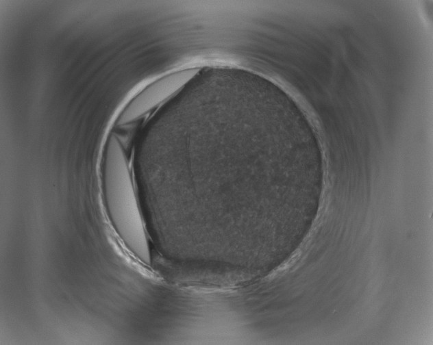 X0000080810864200701021314