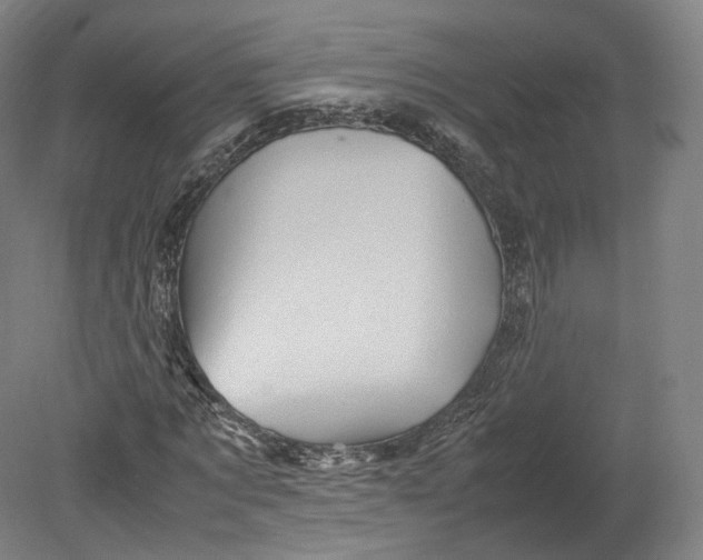 X0000080810869200701021313