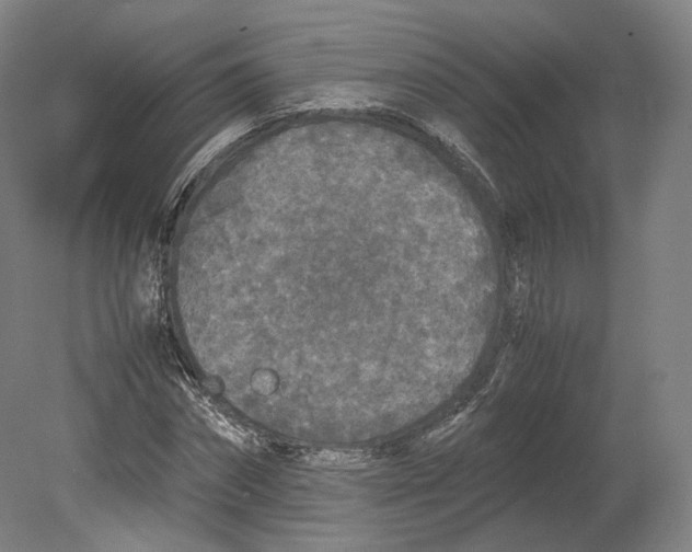 X0000080810874200701021313