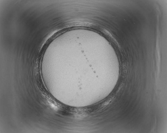 X0000080810875200701021313