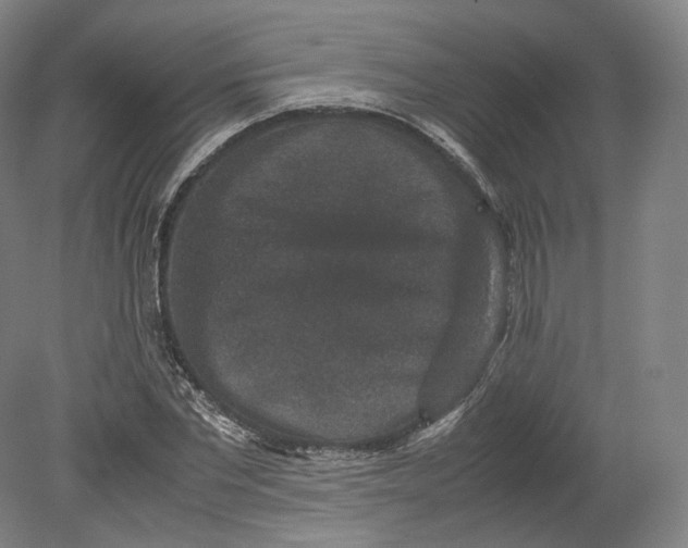 X0000080810877200701021313