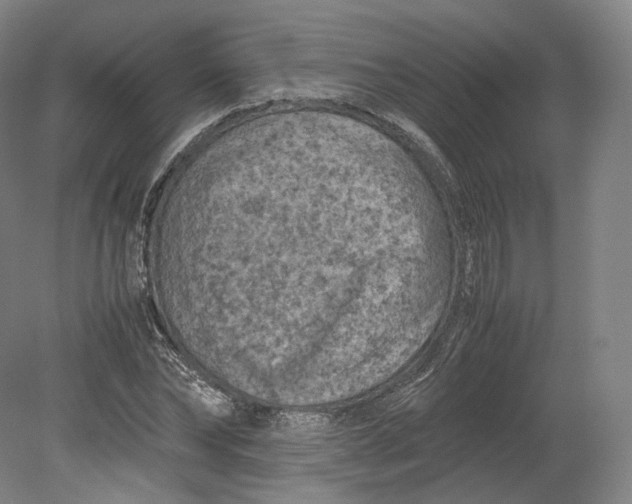 X0000080810878200701021313