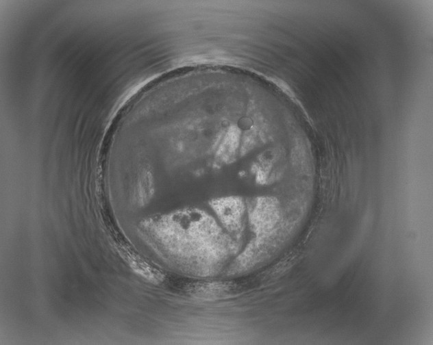 X0000080810879200701021313