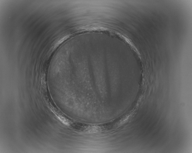 X0000080810881200701021313