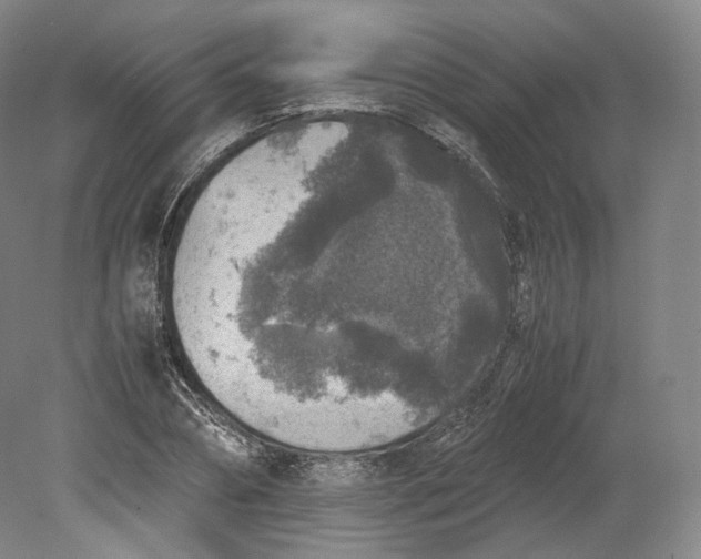 X0000080810882200701021313