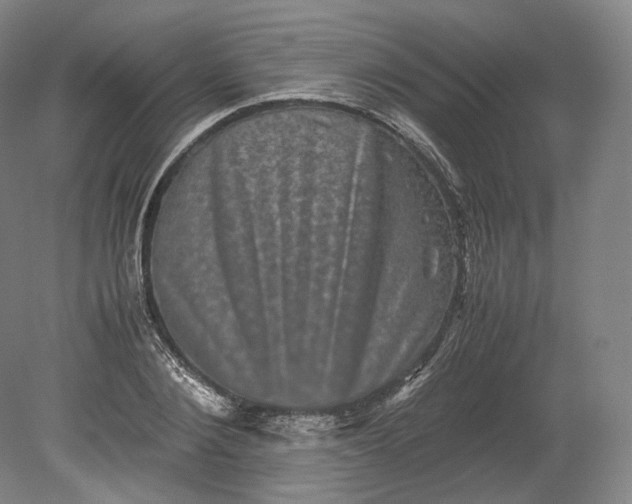 X0000080810884200701021313