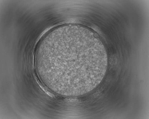 X0000080810886200701021313