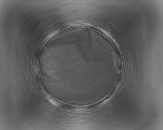 X0000080810889200701021313