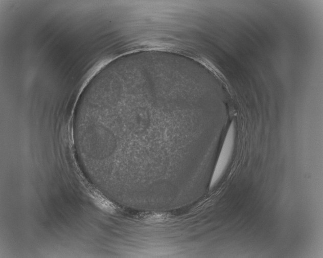 X0000080810891200701021313