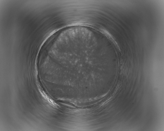 X0000080810892200701021313