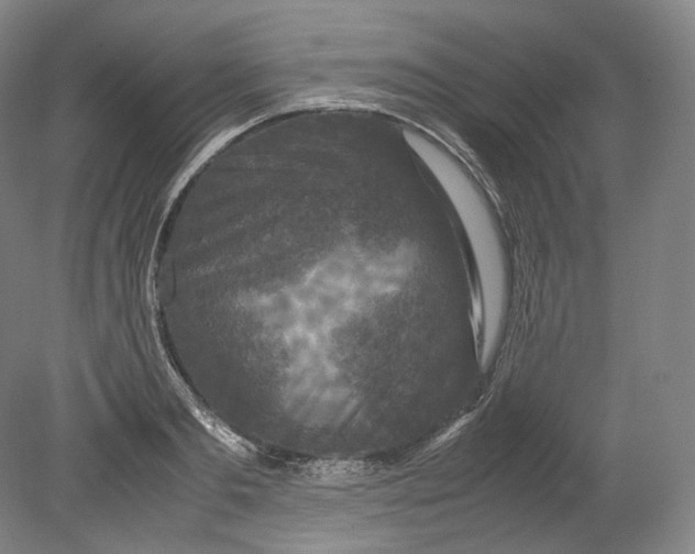 X0000080810893200701021313