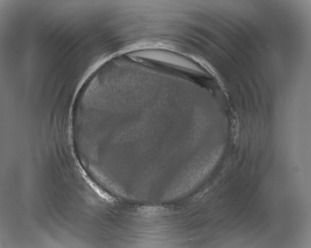 X0000080810894200701021313