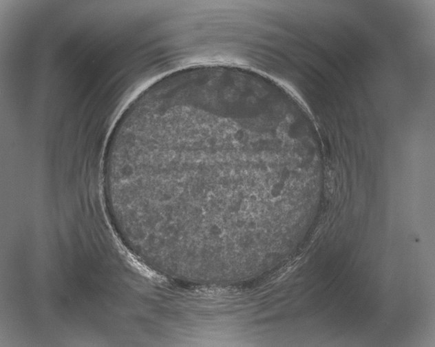 X0000080810895200701021313