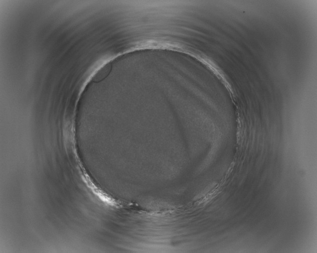 X0000080810896200701021313