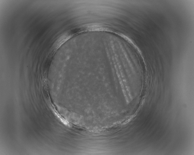 X0000080810897200701021313