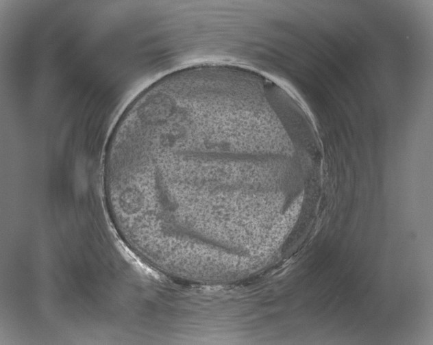 X0000080810903200701021312