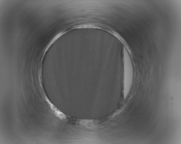 X0000080810909200701021312