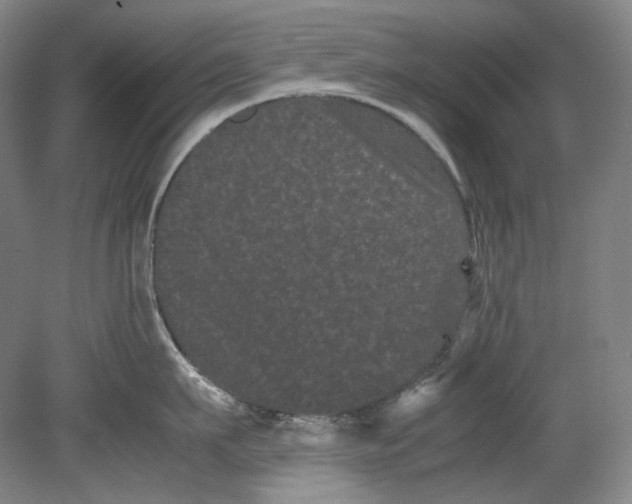 X0000080810911200701021312