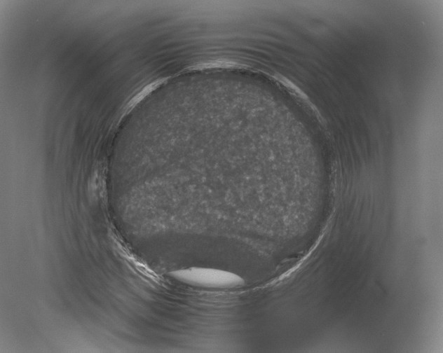 X0000080810921200701021312