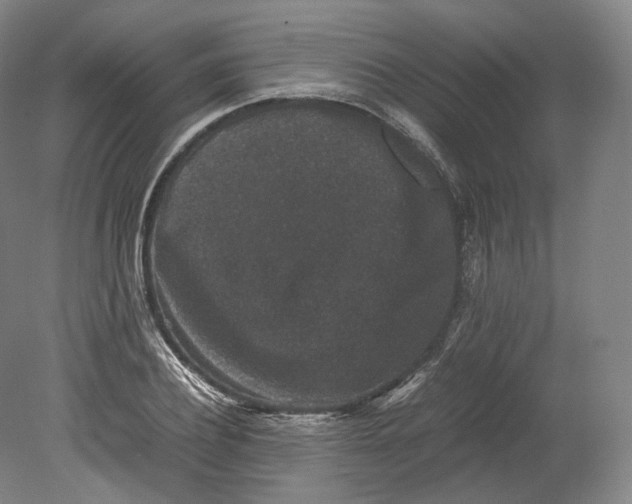 X0000080810932200701021312