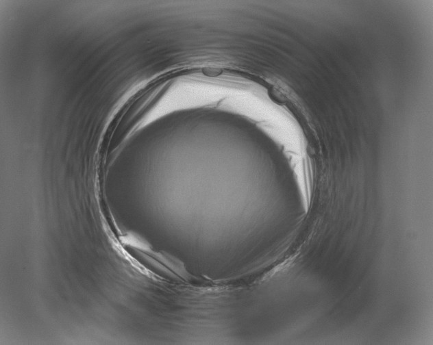 X0000080810941200701021312