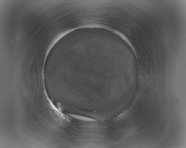 X0000080810951200701021312