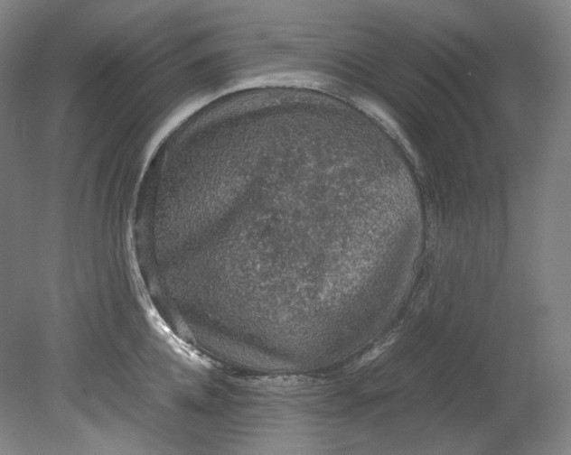 X0000080810952200701021312