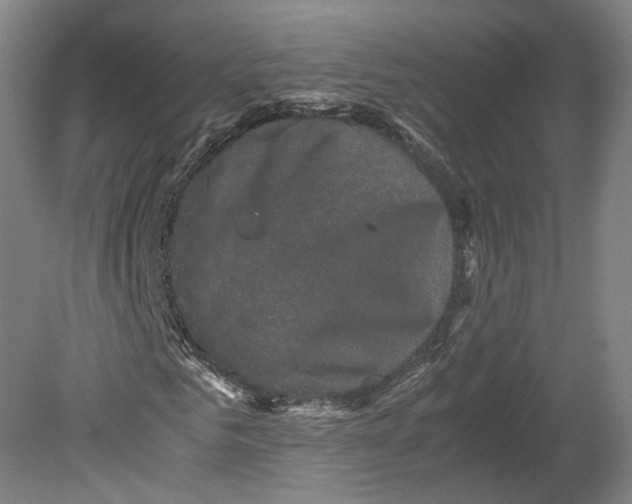 X0000080810961200701021311