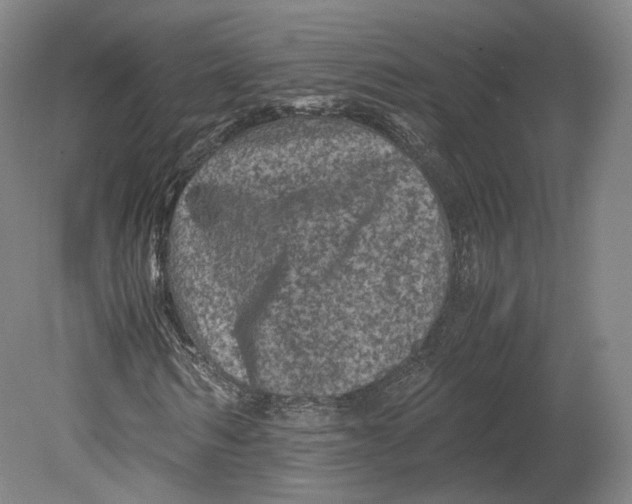 X0000080810962200701021311