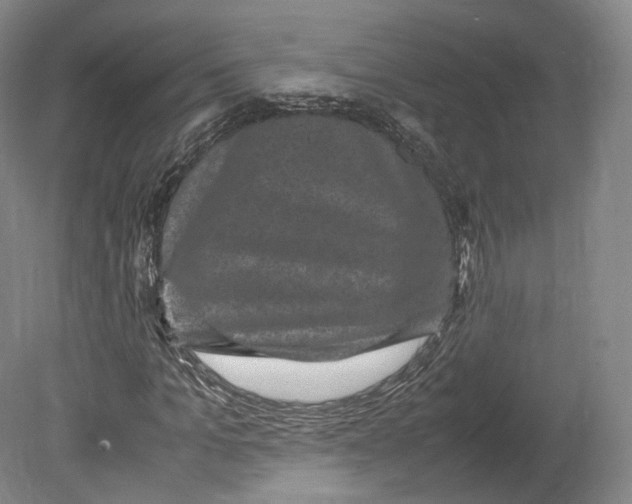 X0000080810965200701021311