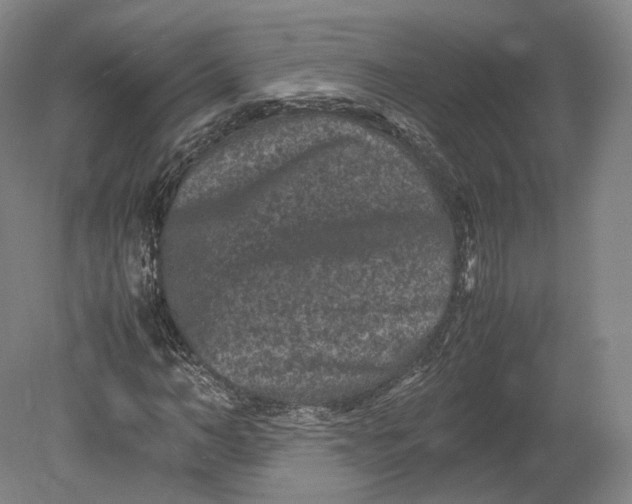 X0000080810966200701021311