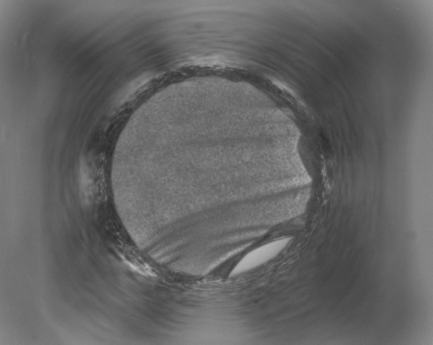 X0000080810968200701021311