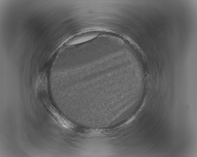 X0000080810969200701021311