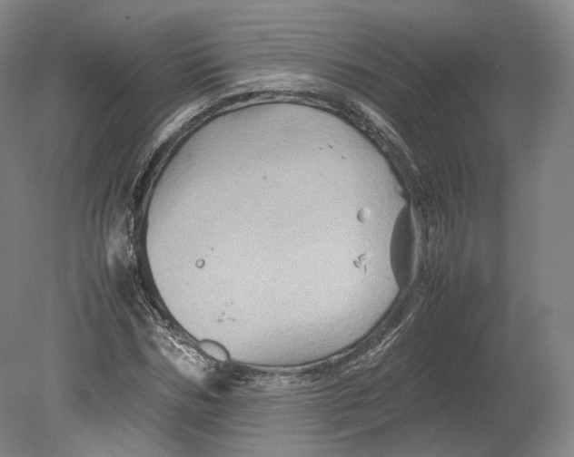 X0000080810970200701021311