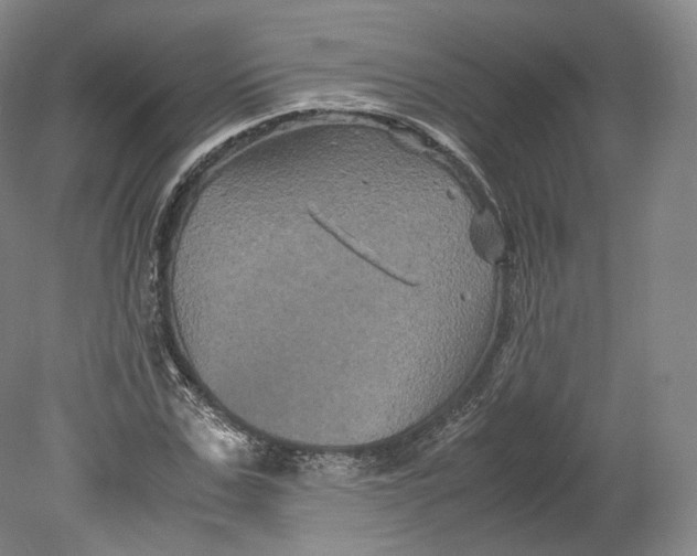 X0000080810971200701021311