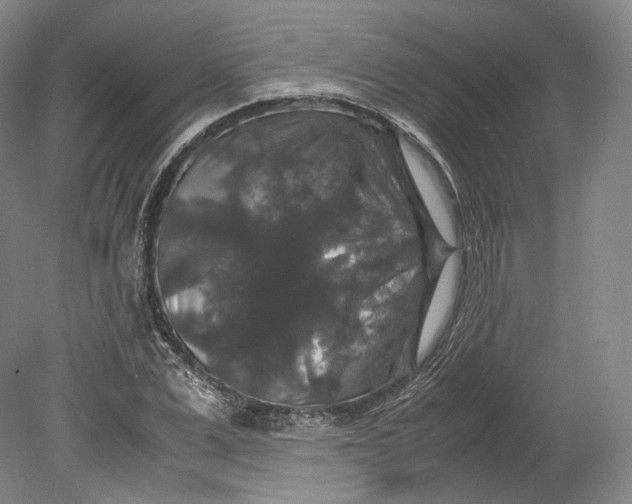 X0000080810975200701021311