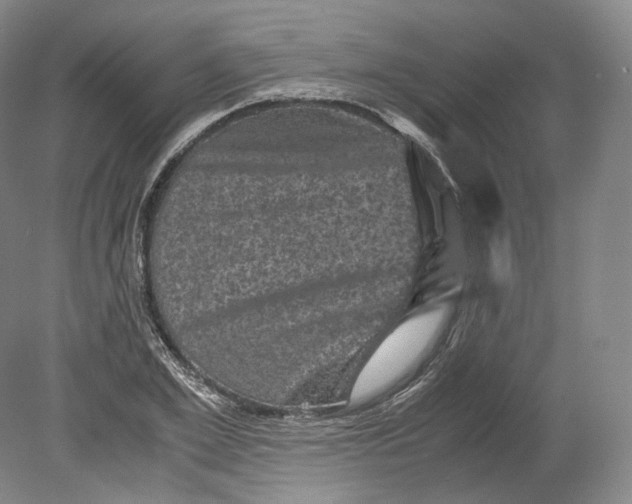 X0000080810981200701021311