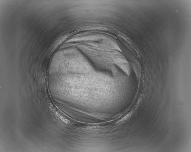 X0000080810985200701021311