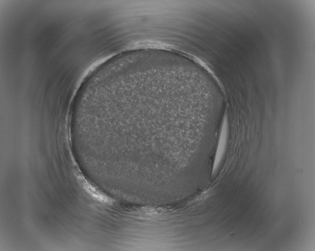 X0000080810987200701021311