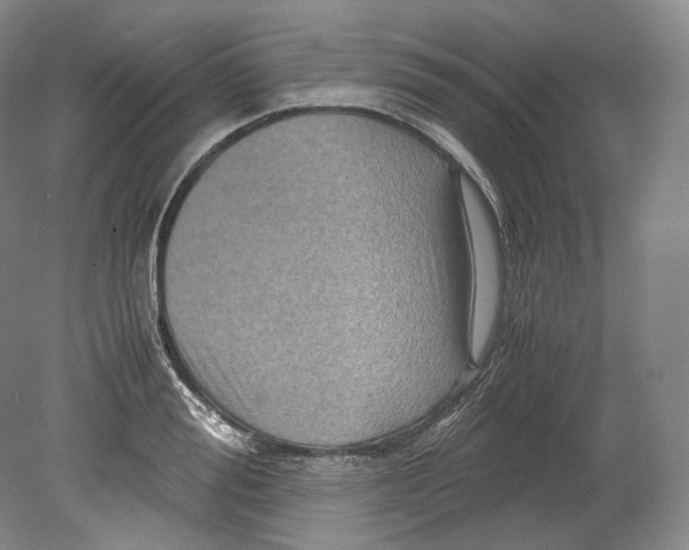 X0000080810988200701021311