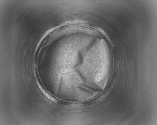 X0000080810989200701021311