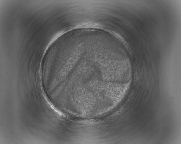 X0000080810990200701021311