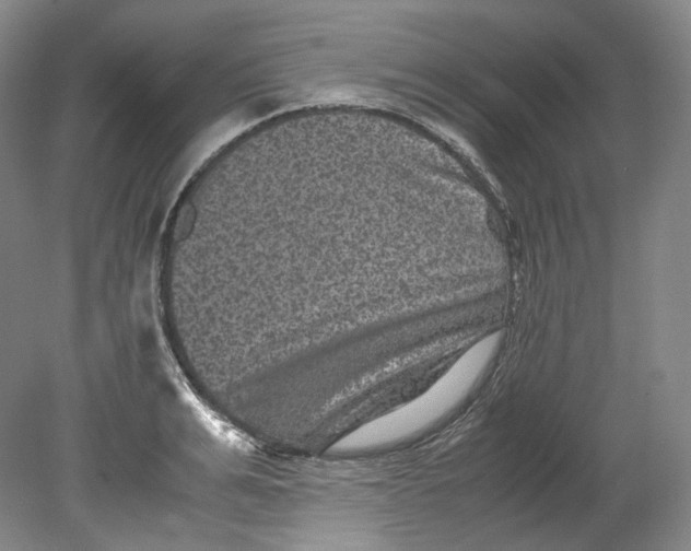 X0000080810991200701021311