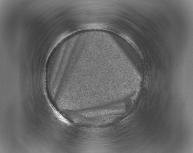 X0000080810992200701021311