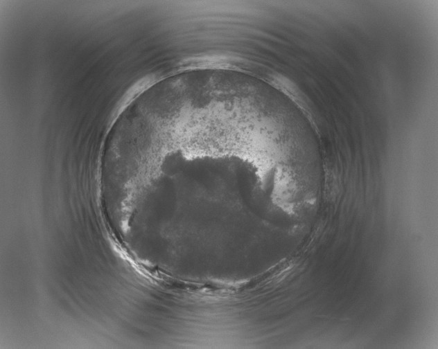 X0000080810994200701021311