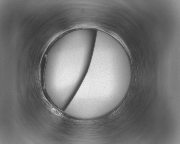 X0000080810996200701021311