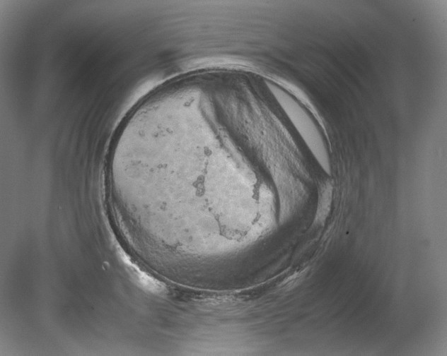 X0000080810999200701021311