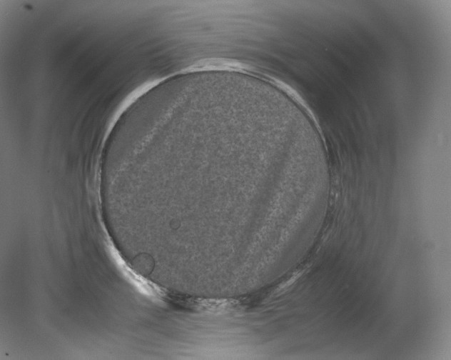 X0000080811003200701021311