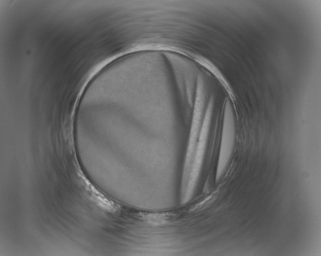 X0000080811004200701021311