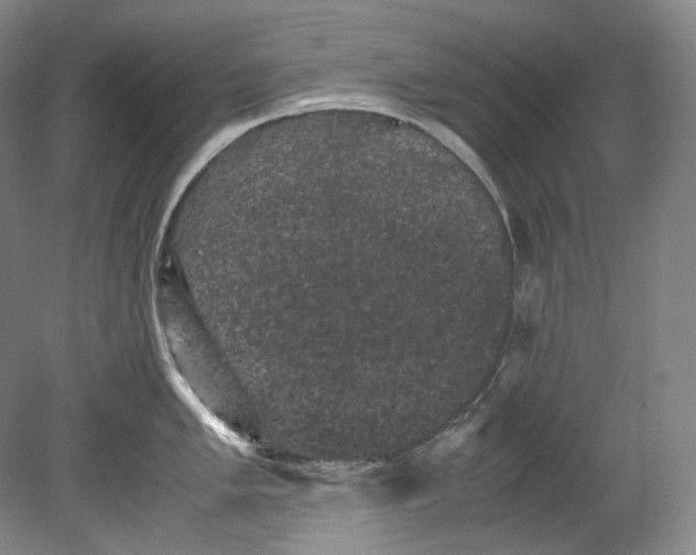 X0000080811005200701021311